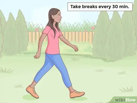 Этюд для орфографической пчелы. Шаг 16