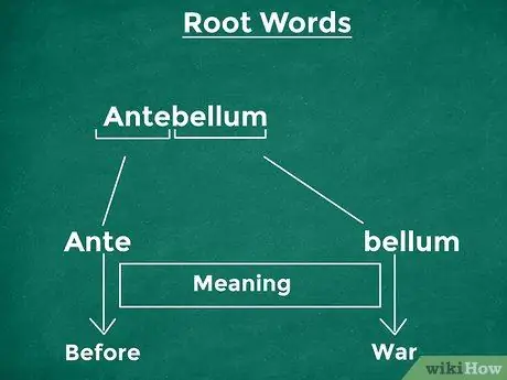 Этюд для орфографической пчелы. Шаг 6