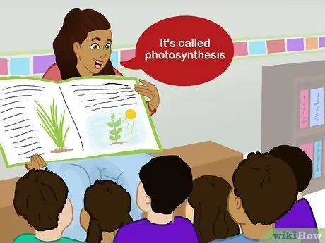 Знакомство с наукой для дошкольников Шаг 12