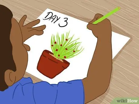 Знакомство с наукой для дошкольников Шаг 4