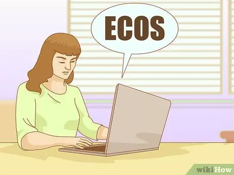 Станьте двуязычным учителем в Техасе Шаг 11