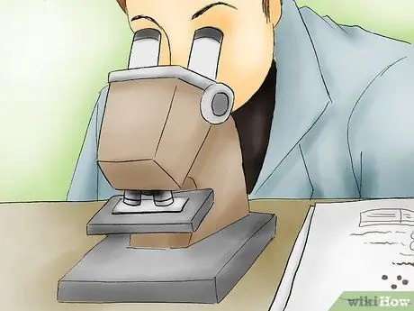 Получите хорошую оценку на уроках естествознания в колледже Шаг 17