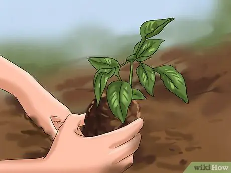 Стать улучшенным