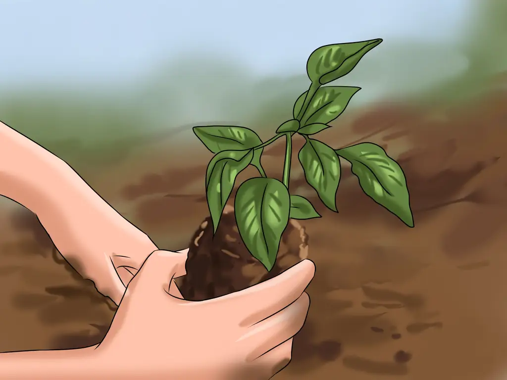 Как стать улучшенной версией себя (с изображениями)