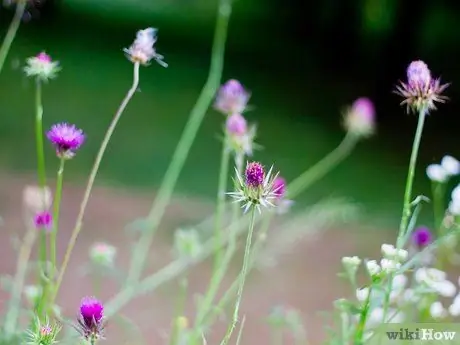 Справиться в мире эго Шаг 1