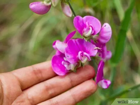 Справиться в мире эго Шаг 2