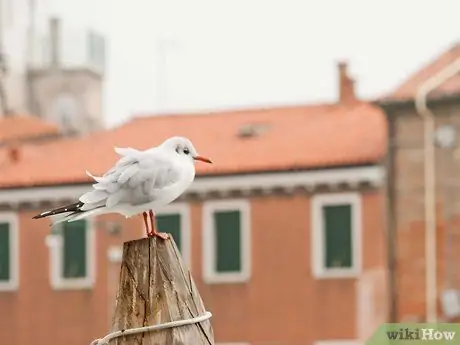 Справиться в мире эго Шаг 3