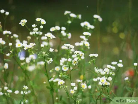 Справиться в мире эго Шаг 9