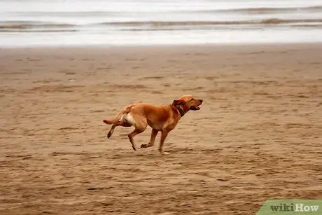 Будьте красивым человеком Шаг 4