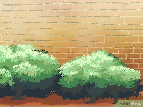 Детер Граффити Шаг 2