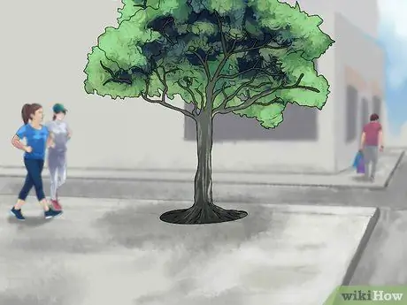 Детер Граффити Шаг 5