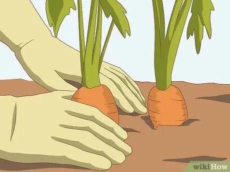 Ешьте как простые люди, шаг 1