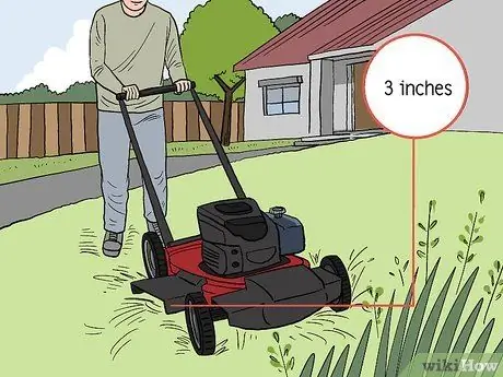 Помогите предотвратить лесные пожары Шаг 1