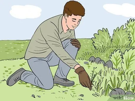 Помогите предотвратить лесные пожары, шаг 2