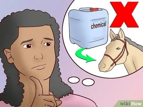 Работа, чтобы остановить забой лошадей, шаг 12