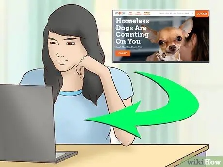 Работа, чтобы остановить забой лошадей, шаг 2