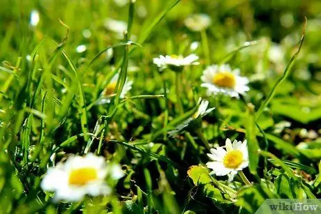 Сделайте что-нибудь конструктивное, шаг 4