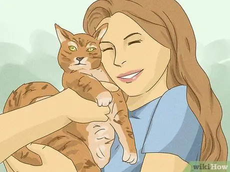 Помогите приютам для животных во время вспышки коронавируса Шаг 1