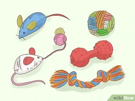 Помогите приютам для животных во время вспышки коронавируса Шаг 14