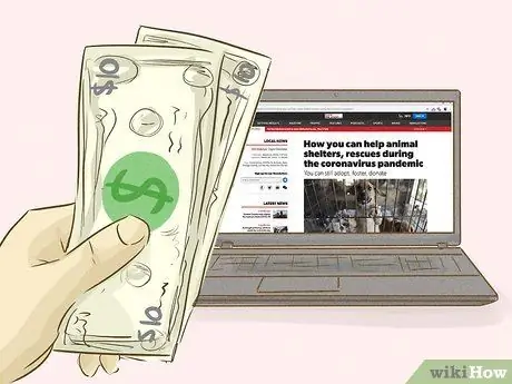 Помогите приютам для животных во время вспышки коронавируса Шаг 16