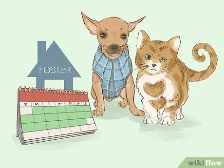 Помогите приютам для животных во время вспышки коронавируса Шаг 2