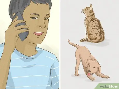 Помогите приютам для животных во время вспышки коронавируса Шаг 3