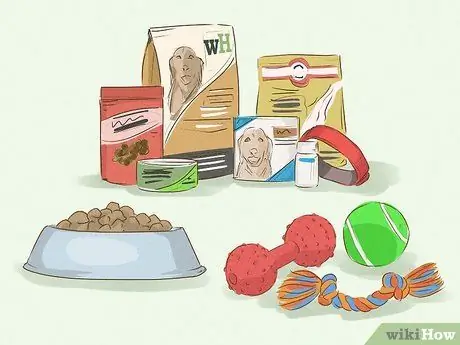 Помогите приютам для животных во время вспышки коронавируса Шаг 5