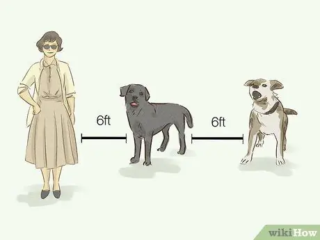 Помогите приютам для животных во время вспышки коронавируса Шаг 7