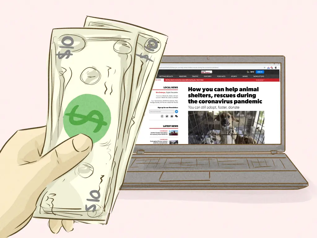 Как помочь приютам для животных во время вспышки коронавируса