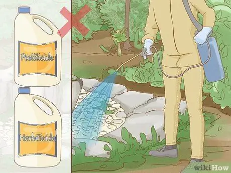 Спасение исчезающих растений Шаг 10