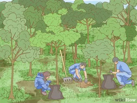 Спасение исчезающих растений Шаг 2