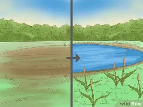 Спасение исчезающих растений Шаг 3