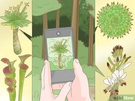 Спасение исчезающих растений Шаг 4