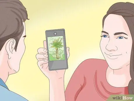 Спасение исчезающих растений Шаг 5