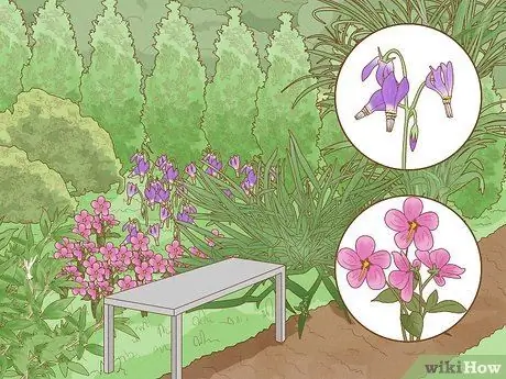 Спасение исчезающих растений Шаг 6