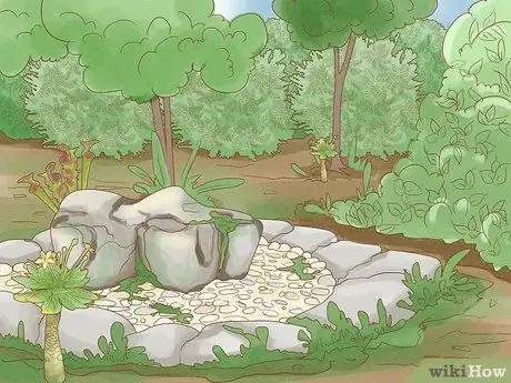 Спасение исчезающих растений Шаг 8