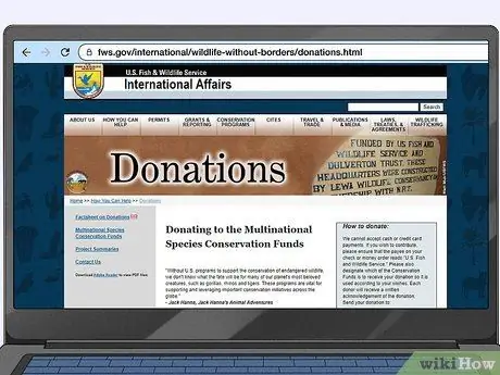 Помогите спасти орангутанов, шаг 1