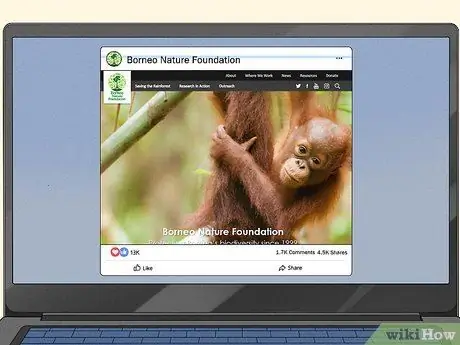 Помогите спасти орангутанов Шаг 10