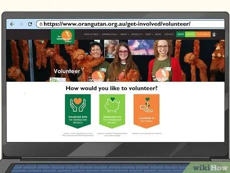 Помогите спасти орангутанов, шаг 4