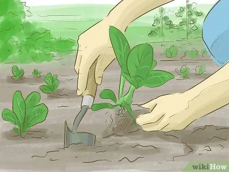 Помогите спасти окружающую среду Шаг 42