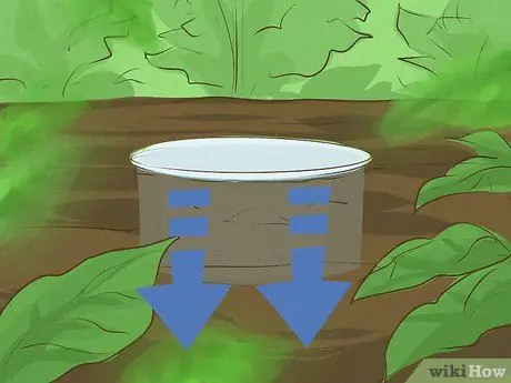 Избавьтесь от садовых улиток, шаг 14