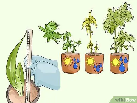 Подумайте об идеях научного проекта для четвертого класса. Шаг 4