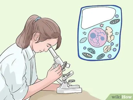 Подумайте об идеях научного проекта для четвертого класса. Шаг 6