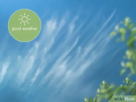 Прогноз погоды с помощью облаков Шаг 1