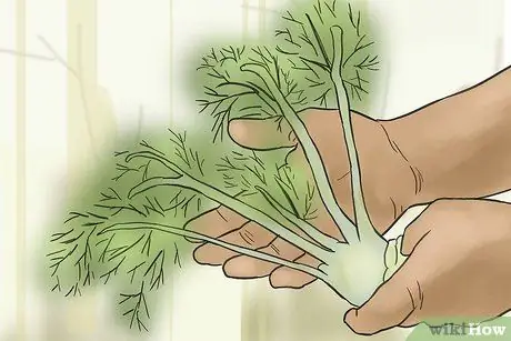 Стать сельскохозяйственным ученым Шаг 4