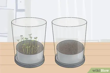 Стать ученым-аграрным Шаг 5