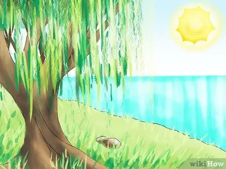 Исследование вне шага 04