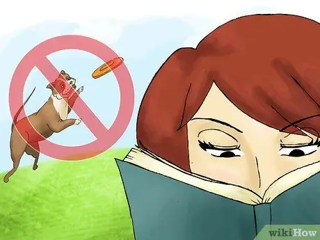 Исследование вне шага 05