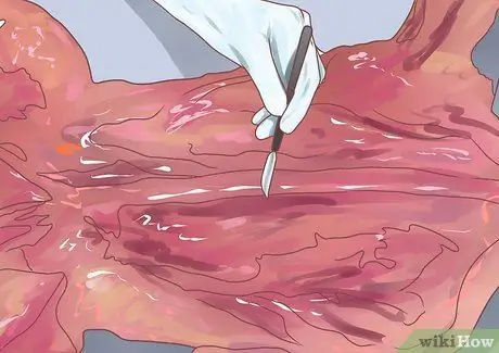 Изучение анатомии, шаг 3