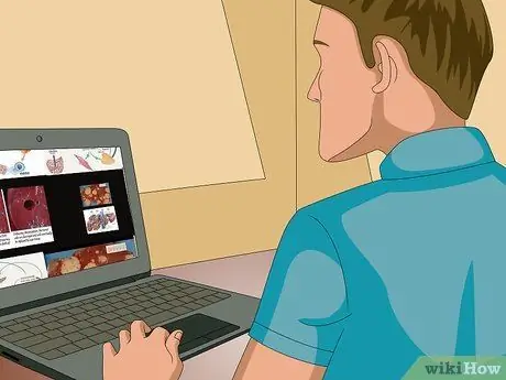 Изучение и понимание функций печени у человека Шаг 5